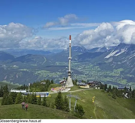 Hochstein *