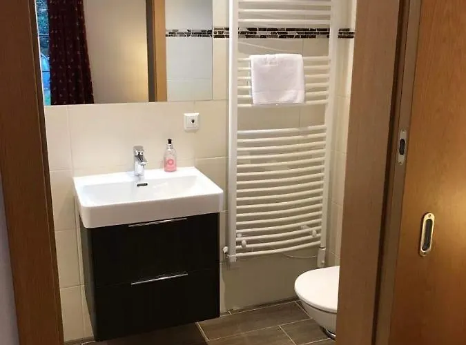 Apartment Hochstein Haus im Ennstal