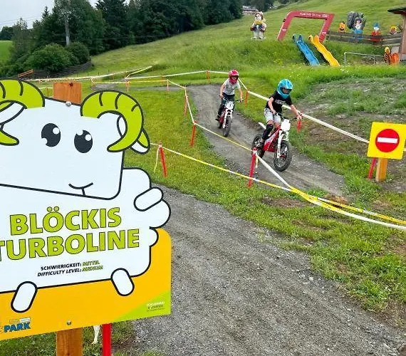 Apartment Hochstein Haus im Ennstal