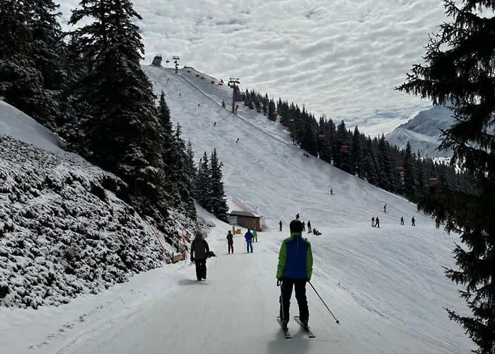 Hochstein Apartament *